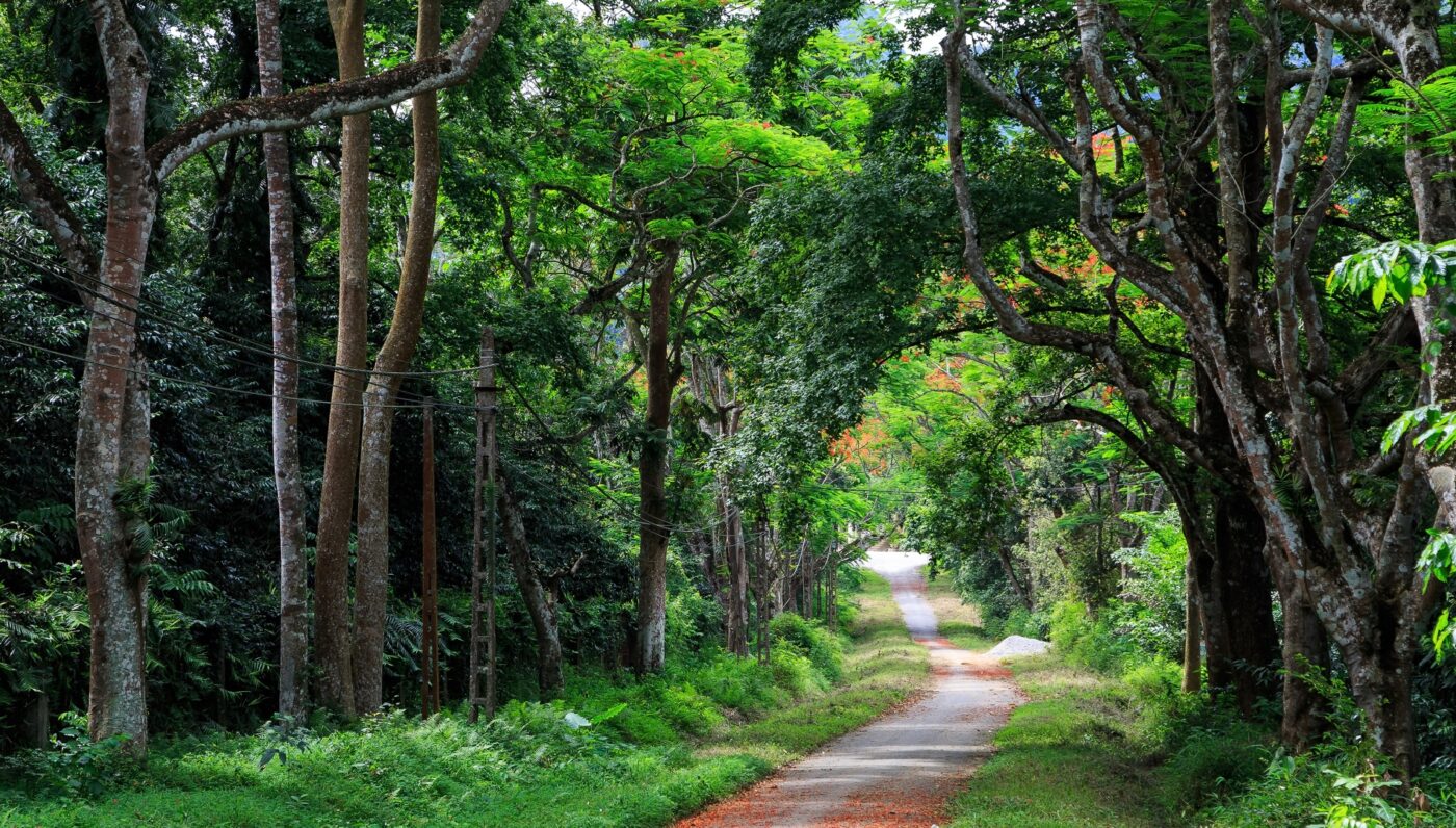 VAN LONG WETLAND RESERVE – CUC PHUONG ONE DAY TOUR